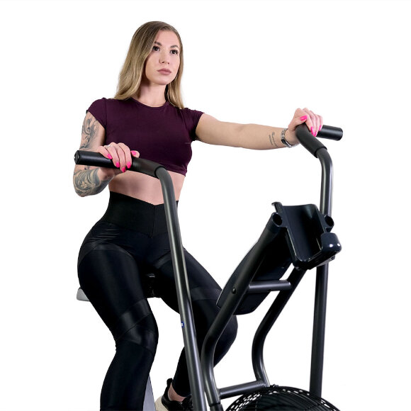 Велотренажер Schwinn Airdyne AD6 Bike, air bike