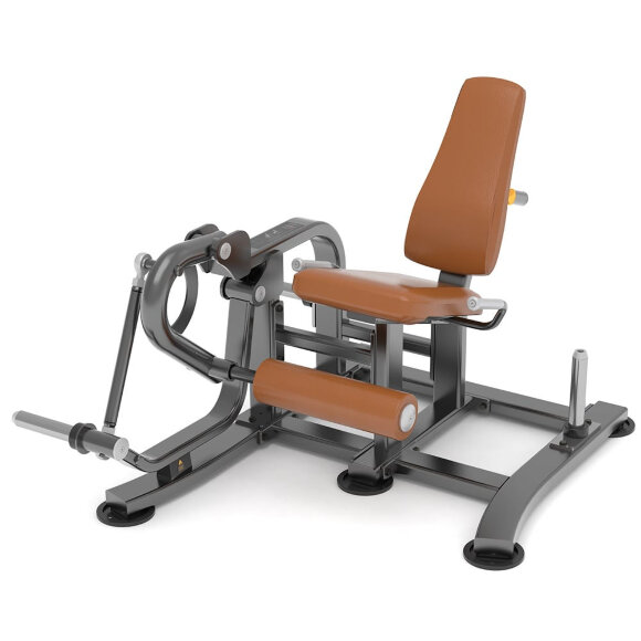 Разгибание ног AnyFit T05 Разгибание ног AnyFit T05