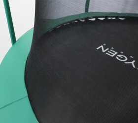 Батут премиум Arland 10FT с внутренней страховочной сеткой и лестницей (Dark green)