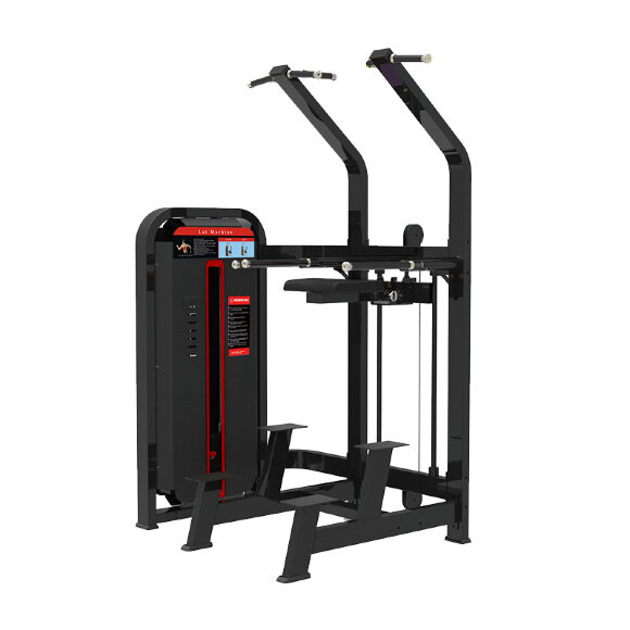 Гравитрон (ассистент) ProfiGym